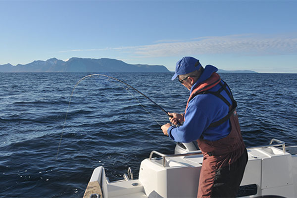 Tips To Keep You from Getting Seasick